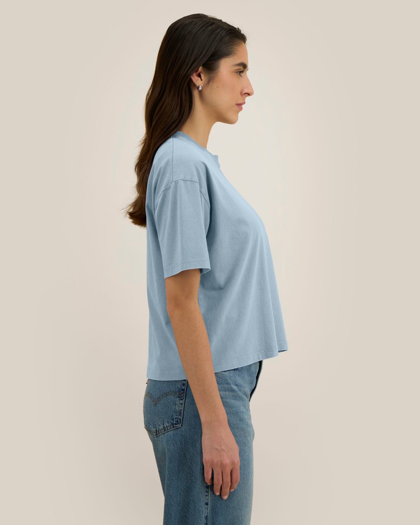 G. Dyed Blue Stone - C732