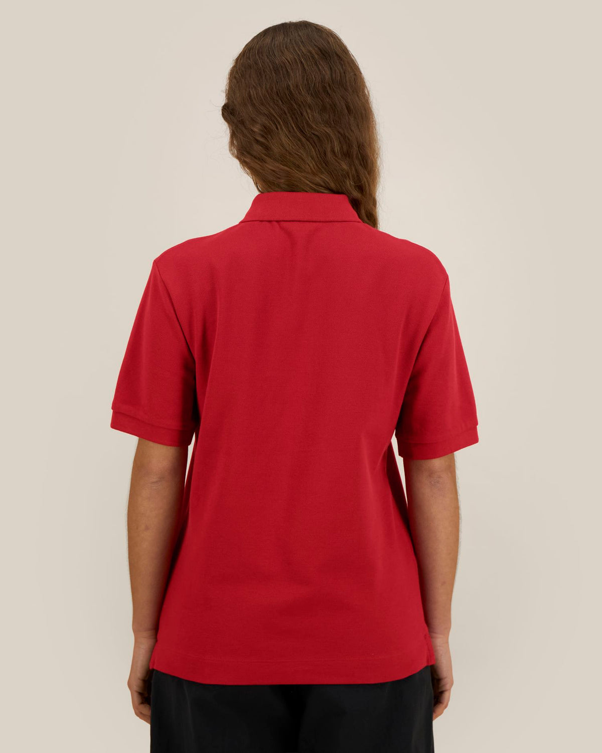 Passionate Red - C172
